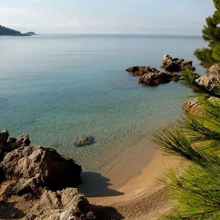 Апартаменты Dalmatin Uljana - 3 *