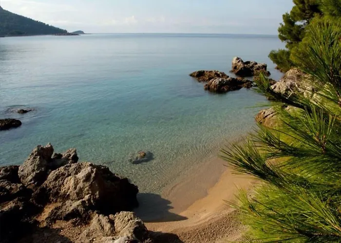 Apartament Dalmatin Uljana - 3 *