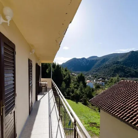 Dalmatin Uljana - 3 Žuljana