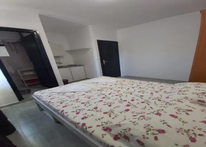 Dalmatin Uljana - 3 *